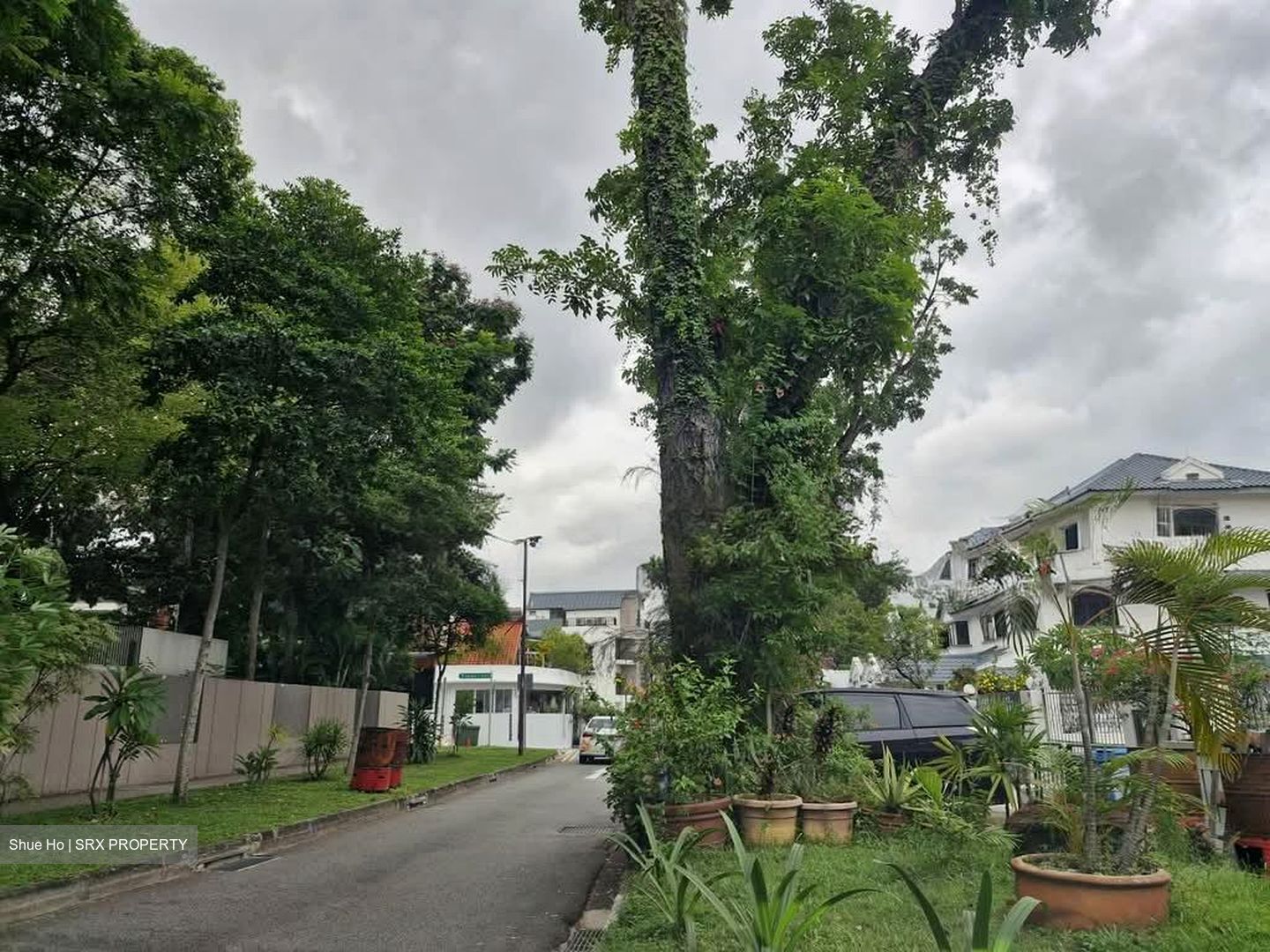 Florence Road (D19), Detached #595841941